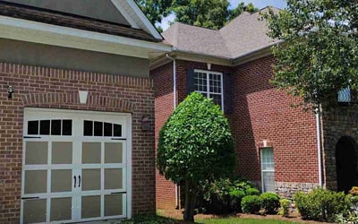 Photo of David W.'s yard after getting lawn care in Charlotte, NC