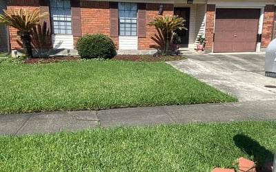 Photo of Caroline F.'s yard after getting lawn care in Pascagoula, MS