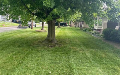 Photo of Jay S.'s yard after getting lawn care in Cookeville, TN