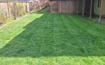 Photo of Michael A.'s yard after getting lawn care in Kenmore, WA