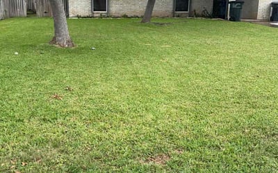 Photo of Pamela W.'s yard after getting lawn care in Bryan, TX