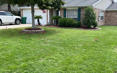 Photo of Rashelle J.'s yard after getting lawn care in Slidell, LA