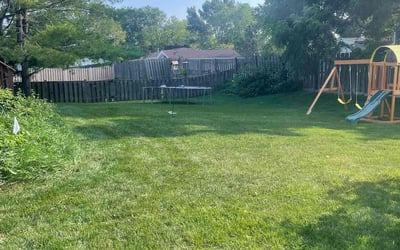 Photo of Graham D.'s yard after getting lawn care in Lemont, IL