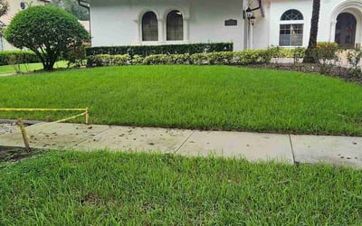 Photo of Cynthia S.'s yard after getting lawn care in Cocoa, FL