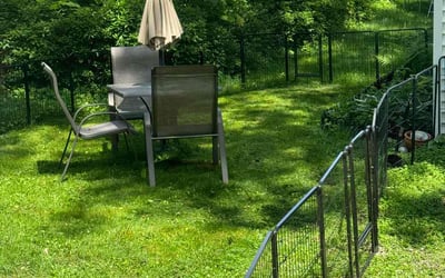Photo of Lindsey H.'s yard after getting lawn care in Bethel, CT