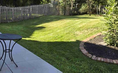 Photo of Michael L.'s yard after getting lawn care in Derwood, MD