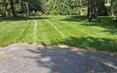 Photo of Valerie S.'s yard after getting lawn care in Wayland, MA