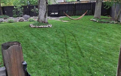 Photo of Mary K.'s yard after getting lawn care in West Orange, NJ