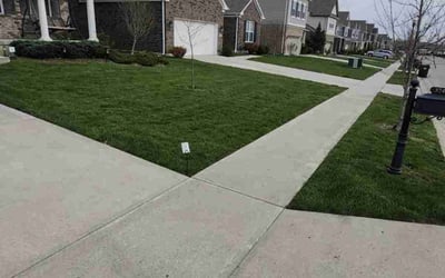 Photo of Daniel V.'s yard after getting lawn care in Newport, KY
