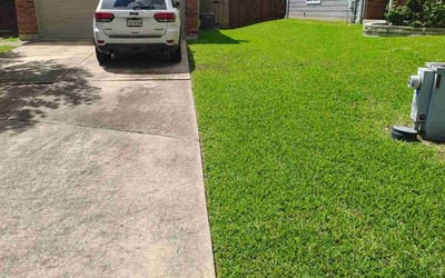 Photo of Matthew J.'s yard after getting lawn care in Chalmette, LA