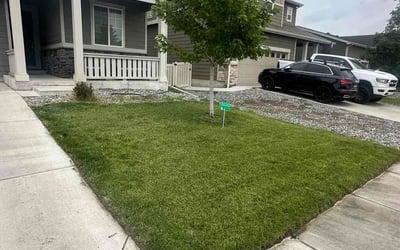 Photo of Brittany K.'s yard after getting lawn care in Burbank, IL