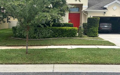 Photo of Brooke W.'s yard after getting lawn care in Port St. Lucie, FL