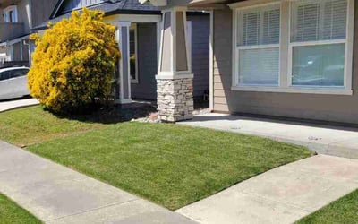 Photo of Jorge P.'s yard after getting lawn care in Santa Rosa, CA