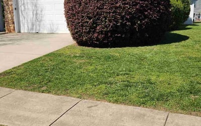 Photo of Dick S.'s yard after getting lawn care in Gastonia, NC