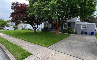 Photo of Sheila H.'s yard after getting lawn care in Broomall, PA