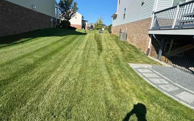 Photo of Deepak Z.'s yard after getting lawn care in West Bloomfield, MI