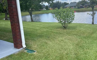 Photo of David C.'s yard after getting lawn care in Keystone Heights, FL