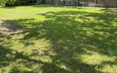 Photo of Vernon H.'s yard after getting lawn care in Fontana, CA