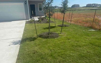 Photo of Nathan W.'s yard after getting lawn care in Jarrell, TX