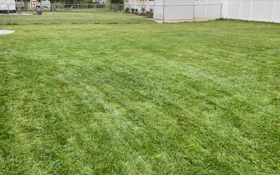 Photo of Christie C.'s yard after getting lawn care in Wadsworth, OH