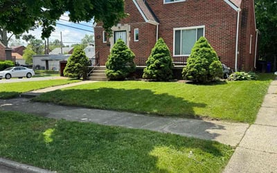 Photo of Khadija S.'s yard after getting lawn care in Loganville, GA