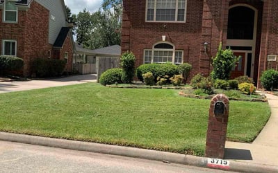 Photo of Mike B.'s yard after getting lawn care in Marlboro, NJ