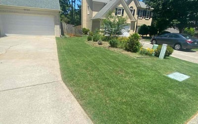 Photo of Georgia C.'s yard after getting lawn care in Cranford, NJ
