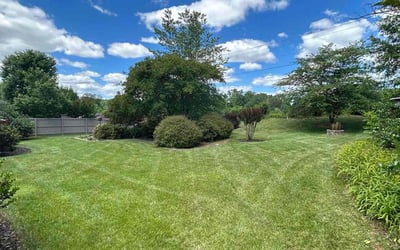 Photo of Inna H.'s yard after getting lawn care in Lehigh Acres, FL