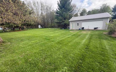 Photo of Jorge O.'s yard after getting lawn care in Crest Hill, IL