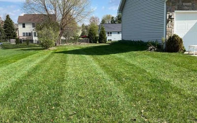 Photo of Mark K.'s yard after getting lawn care in Okemos, MI