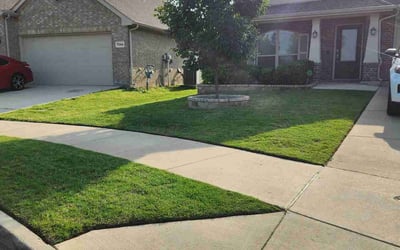 Photo of Lacey R.'s yard after getting lawn care in Lansing, MI