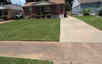 Photo of Tom M.'s yard after getting lawn care in East Ridge, TN