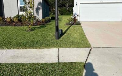Photo of Elizabeth W.'s yard after getting lawn care in Palmetto, FL