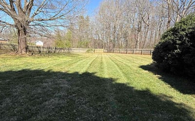 Photo of Betra W.'s yard after getting lawn care in Conover, NC