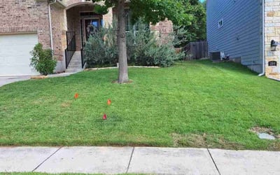 Photo of Electra W.'s yard after getting lawn care in Little River, SC