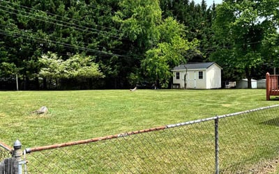 Photo of Cynthia B.'s yard after getting lawn care in Lehigh Acres, FL