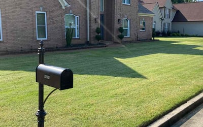 Photo of Caley W.'s yard after getting lawn care in Euless, TX