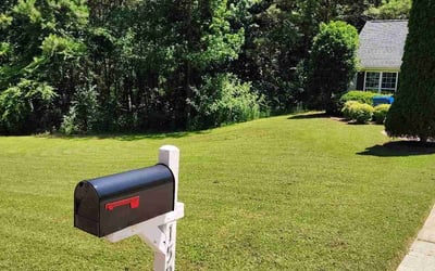 Photo of Cherry H.'s yard after getting lawn care in Levittown, NY