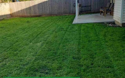Photo of Rich B.'s yard after getting tree care in Huntington Station, NY