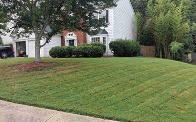 Photo of Igor M.'s yard after getting lawn care in Howell, MI