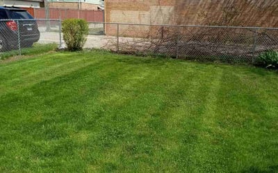 Photo of Donnell G.'s yard after getting lawn care in Bellwood, IL