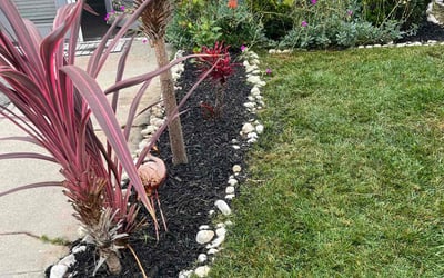 Photo of Michelle K.'s yard after getting lawn care in Ormond Beach, FL