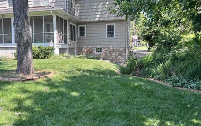 Photo of Rex R.'s yard after getting lawn care in Charlottesville, VA