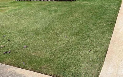 Photo of Patrick W.'s yard after getting lawn care in Willingboro, NJ