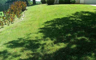 Photo of Laura G.'s yard after getting lawn care in Tucker, GA