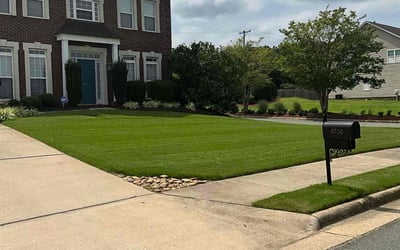 Photo of Bill P.'s yard after getting lawn care in Madison, NC