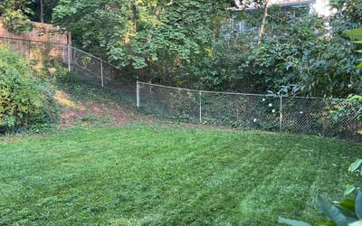 Photo of Josh C.'s yard after getting lawn care in Mckeesport, PA