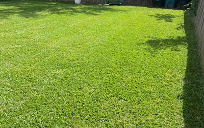 Photo of Wendy S.'s yard after getting lawn care in Rock Island, IL