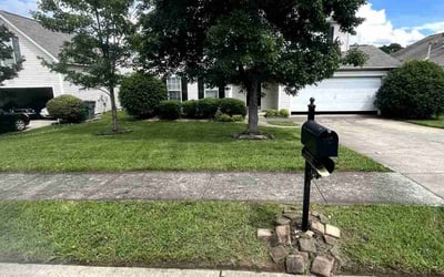 Photo of Miguel S.'s yard after getting lawn care in Paterson, NJ