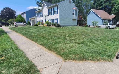 Photo of Marsha S.'s yard after getting lawn care in Hampstead, MD